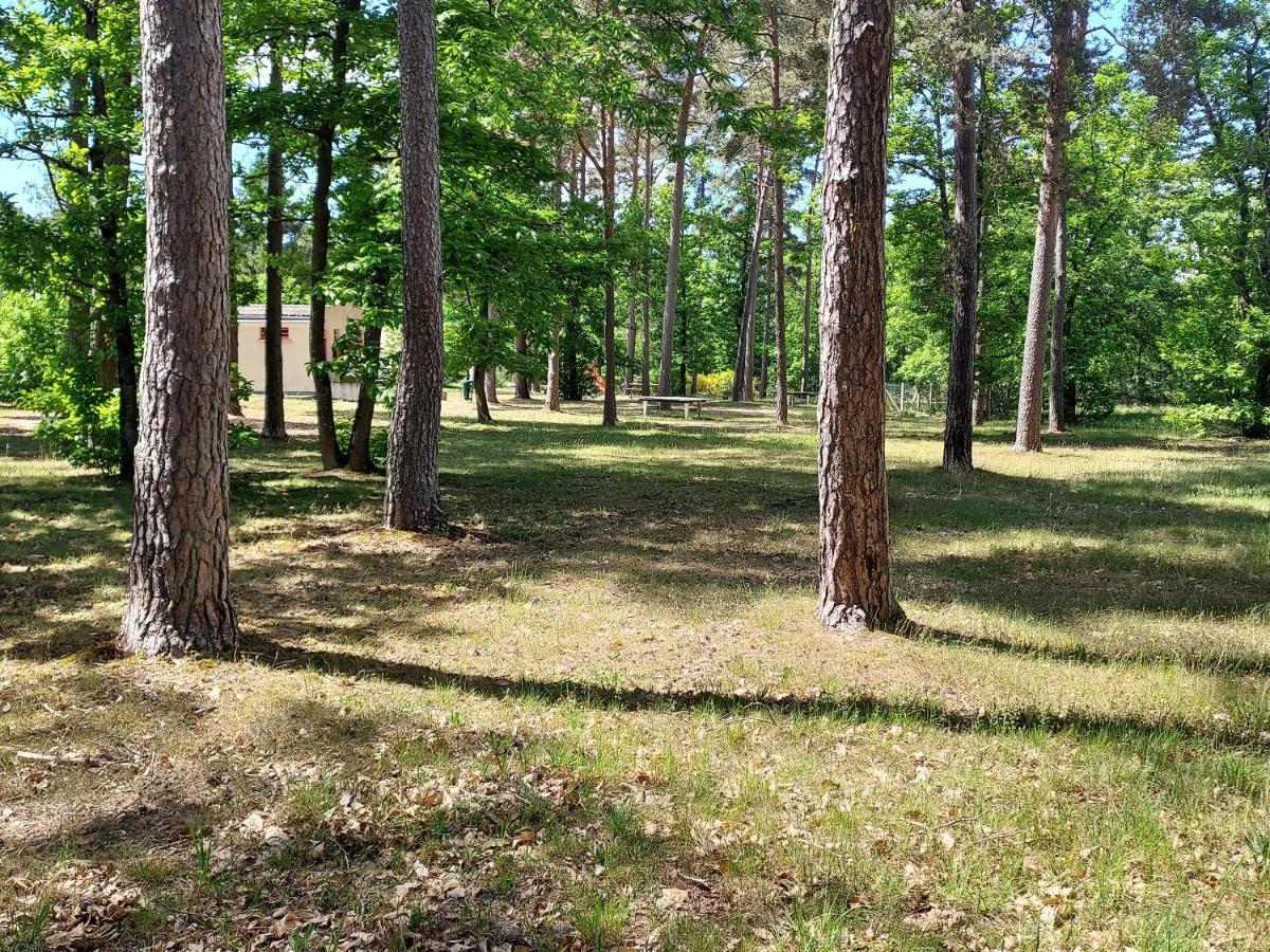 Camping Onlycamp Les Pins Nancay Екстер'єр фото