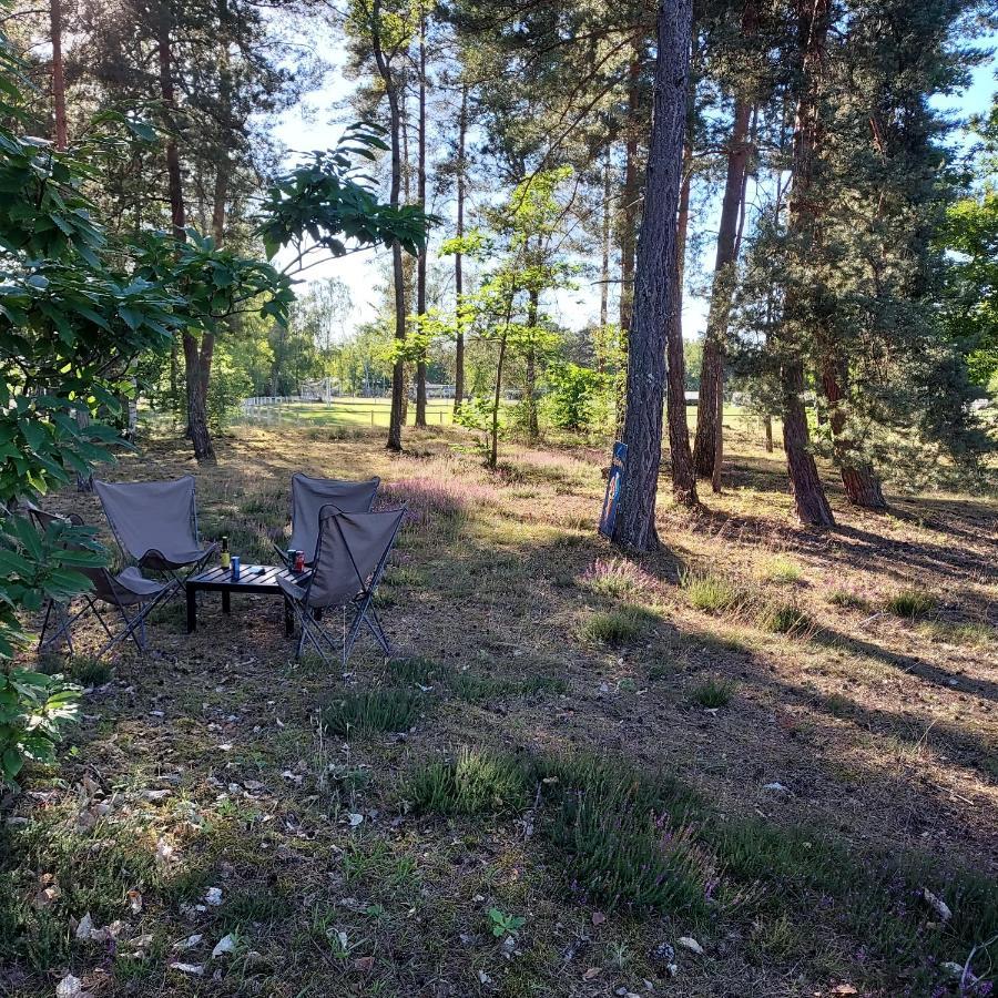 Camping Onlycamp Les Pins Nancay Екстер'єр фото